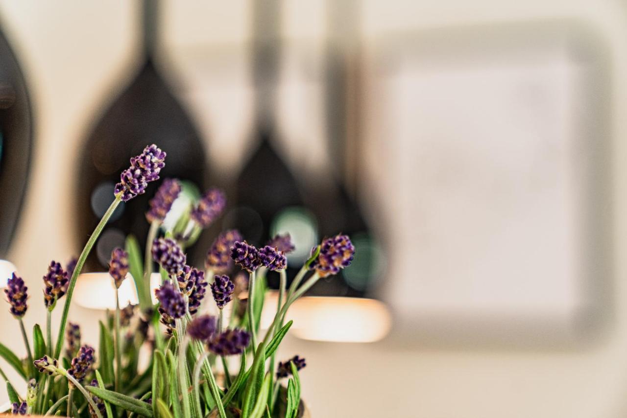"Die Bergerin" | Appartements Schladming Luaran gambar