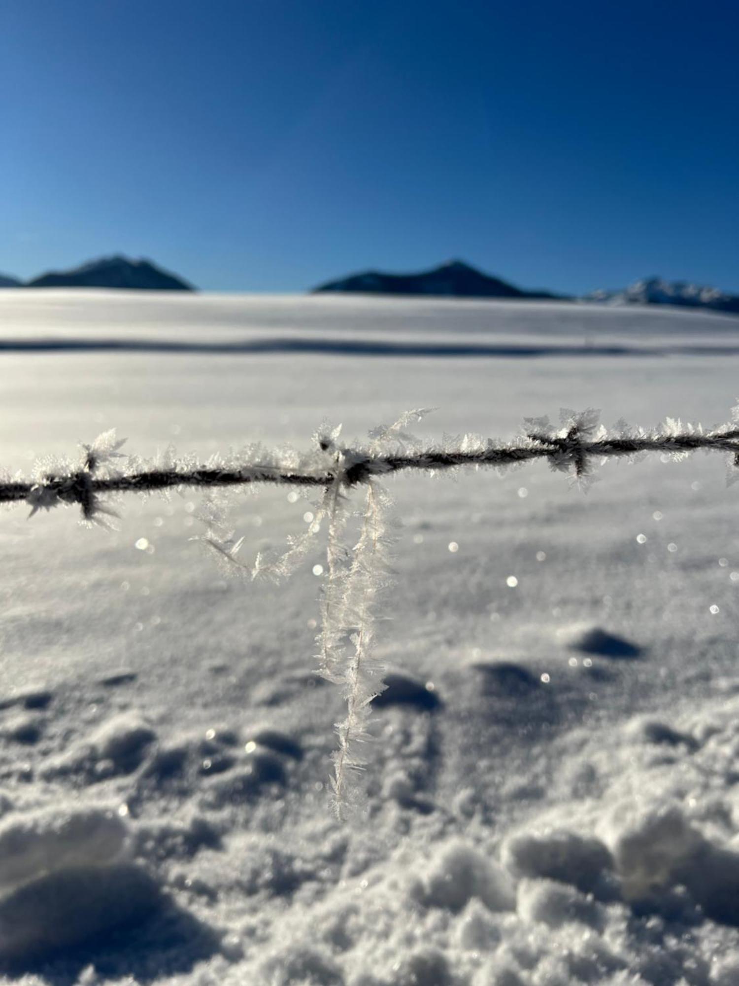 "Die Bergerin" | Appartements Schladming Luaran gambar
